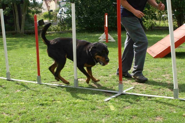 agility 2011-07-24